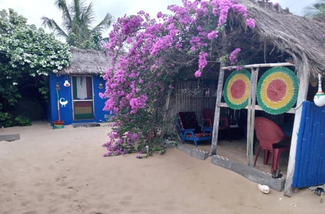 A&Y Wild Camp Ghana Keta Eksteriør bilde