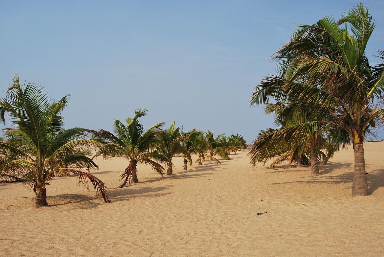 A&Y Wild Camp Ghana Keta Eksteriør bilde