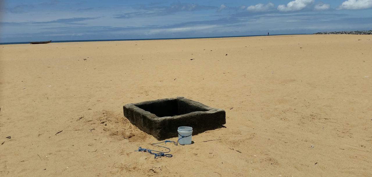 A&Y Wild Camp Ghana Keta Eksteriør bilde