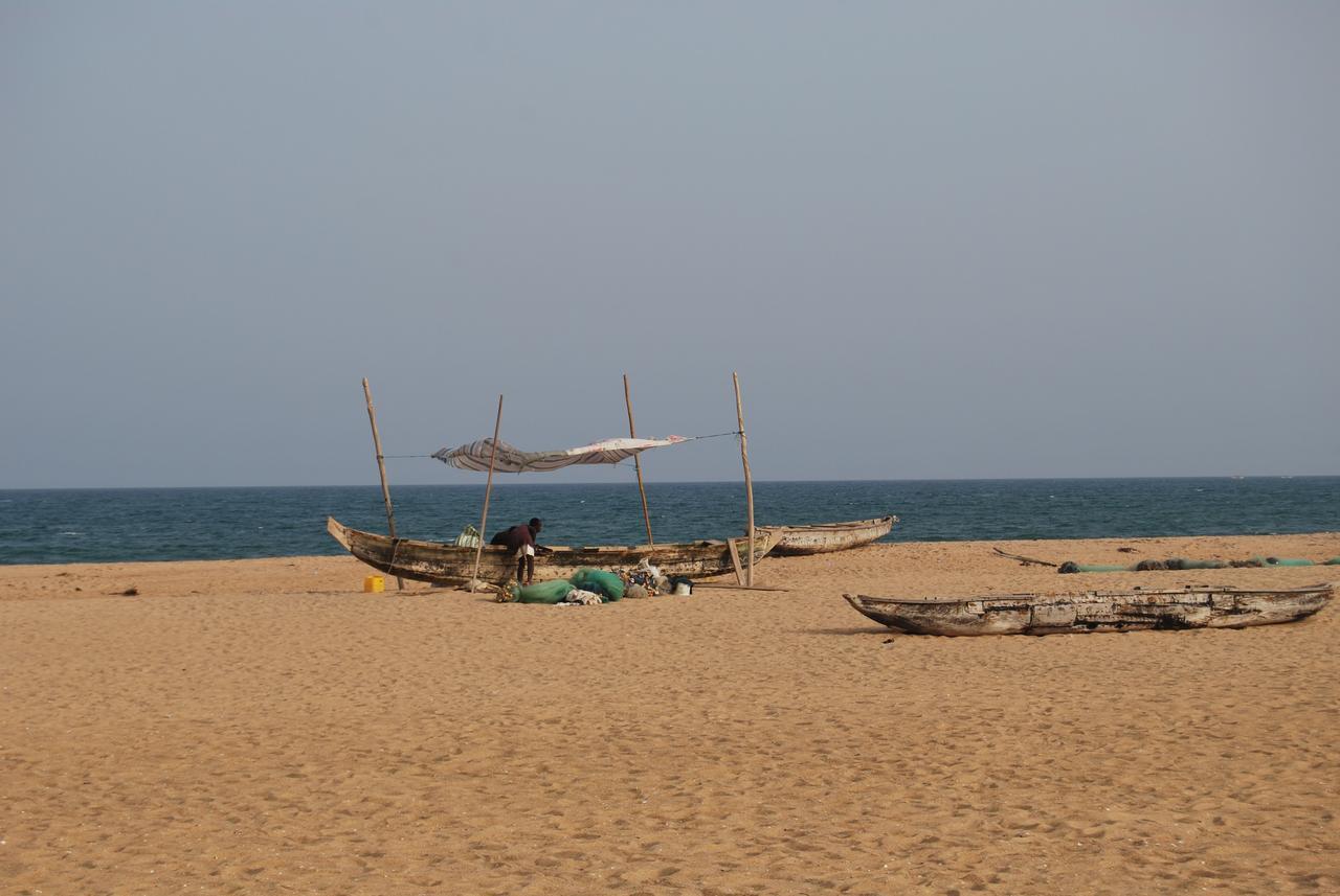 A&Y Wild Camp Ghana Keta Eksteriør bilde