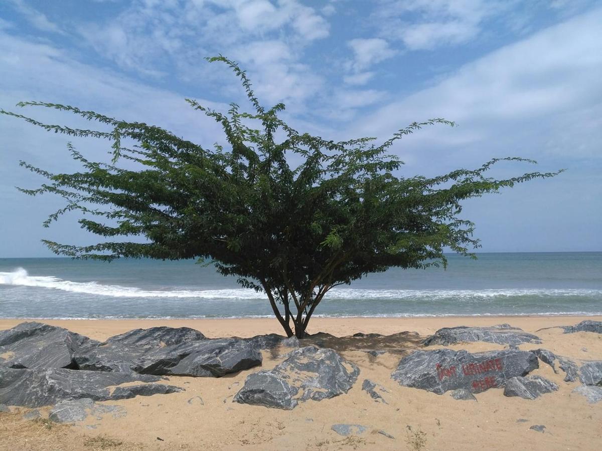 A&Y Wild Camp Ghana Keta Eksteriør bilde